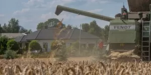 Co na rynku pszenicy?
