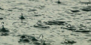 Dotacje na małą retencję. Jakie stawki w ramach „Moja Woda 3.0”?