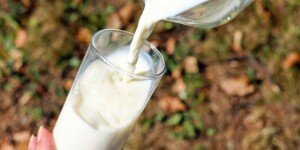 Jakie ceny mleka 2023? Sprawdź najnowsze zestawienia