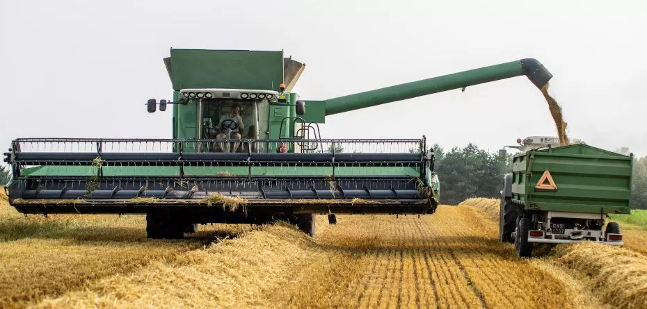 krajowe zbiory zbóż 2023 - żniwa - jęczmień ozimy - kombajn