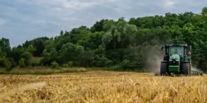 Płatności dla małych gospodarstw. Złóż oświadczenie w&nbsp;7&nbsp;krokach