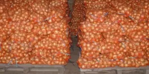 Światowy rynek cebuli. Jaka jest aktualna sytuacja?