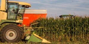 Jaka cena za koszenie kukurydzy na kiszonkę?