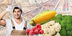 To już ostatnie chwile na wnioski o&nbsp;dopłaty UE w&nbsp;tych programach