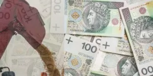 Dopłata do kukurydzy 2023. Są oficjalne stawki za mokrą qq