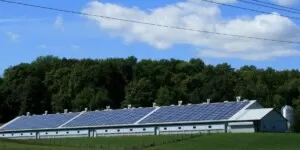 Rozliczenie prądu z&nbsp;fotowoltaiki niekorzystne dla części prosumentów