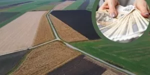 Zaliczki dopłat bezpośrednich 2023 już na kontach