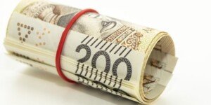 Dopłaty do sadów 2023 i&nbsp;plantacji. Komu przysługują?