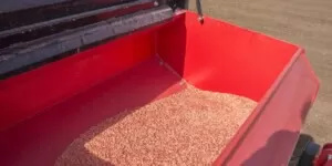 dopłaty do materiału siewnego 2023