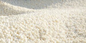 Aktualne ceny nawozów