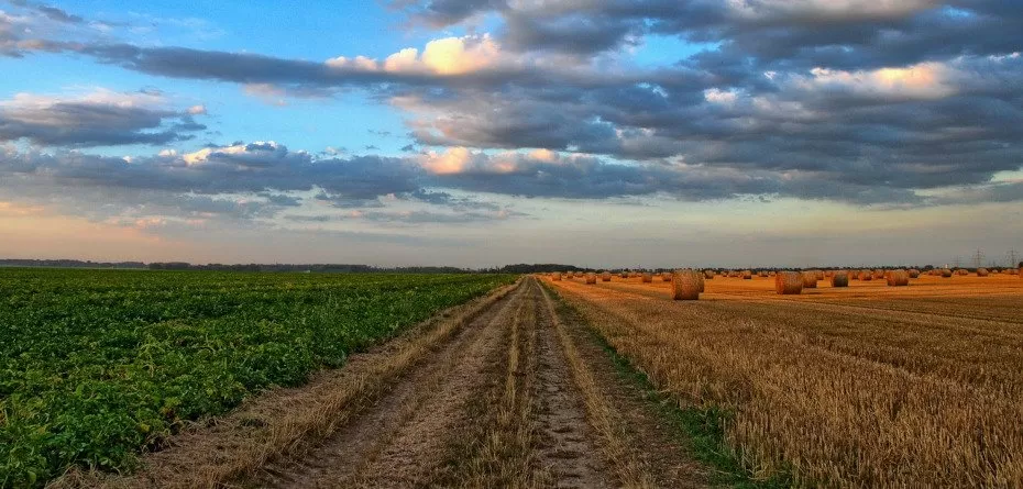 obrót ziemią rolną - pola uprawne