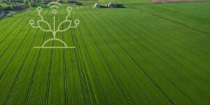 Od kiedy nabór wniosków na rolnictwo 4.0?