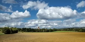 Sytuacja w&nbsp;rolnictwie 2023. Zła koniunktura polskich gospodarstw