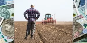 Wypłaty dopłat bezpośrednich 2023. Kiedy pieniądze trafią na konta rolników?