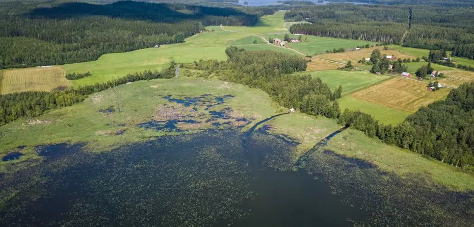 Dyrektywa azotanowa 2023 - konsultacje społeczne grudzień 2023