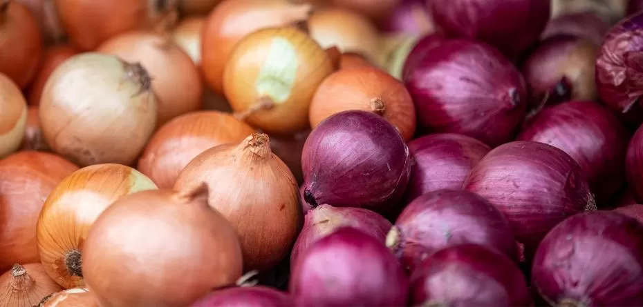 Jaka jest aktualna cena cebuli? cebula biała, cebula żółta, cebula czerwona
