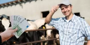 Dopłaty bezpośrednie 2023. Będą przesunięcia w&nbsp;ekoschematach?