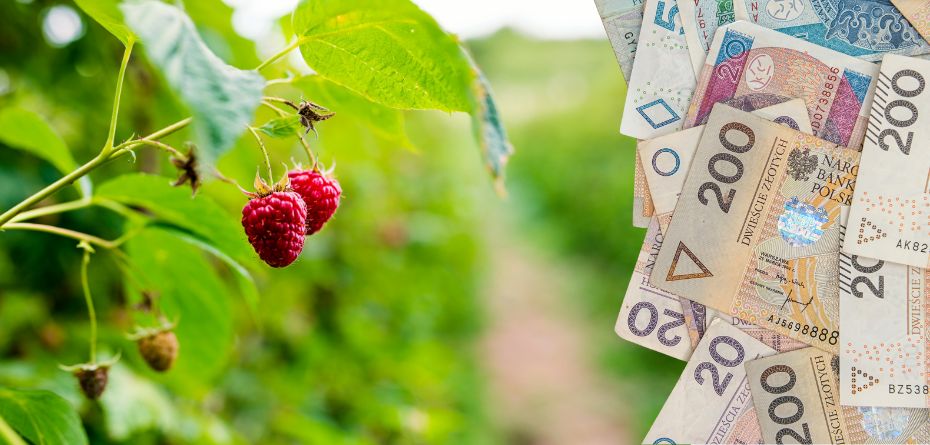 dopłaty dla sadowników - dopłaty dla plantatorów malin - dopłaty dla producentów owoców
