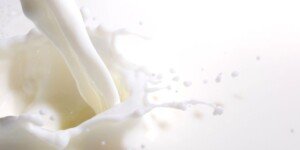 Czy ceny skupu mleka wzrosną? Prognozy na 2024 r.