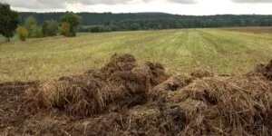 Pieniądze za ekoschematy 2023 kiedy dotrą do rolników?