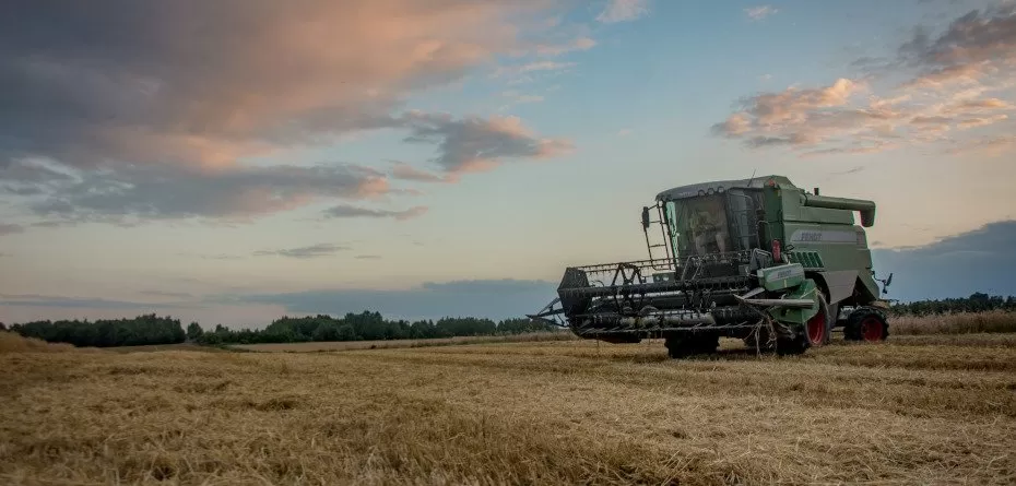żniwa - produkcja zbóż w Polsce 2023 - zbiory zbóż 2023 według GUS