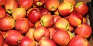 Cena Gali w styczniu 2024, w 2. tygodniu roku