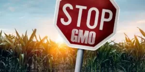 GMO - Nowa ustawa o GMO-stop GMO