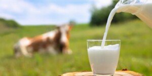 Rynek mleka — stan i perspektywy na 2024 r.