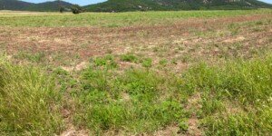 Zadłużeni rolnicy czekają na system oddłużania