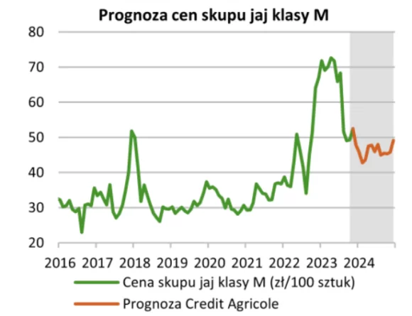 cena jajek w styczniu 2024 - cena jajek w styczniu wykres