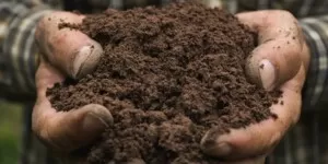 Konferencja Rolnicza: Jak wykorzystać potencjał gleby?