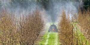 Sadownicy mogą się ubiegać o&nbsp;zwrot akcyzy za paliwo rolnicze