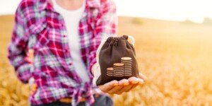 Nowy podatek dla rolników już od 1&nbsp;lutego. Kogo dotyczy?