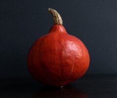 Dynia hokkaido ma charakterystyczny kształt