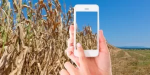 Aplikacja suszowa nie działa? Oto co należy zrobić