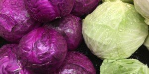 Ceny kapusty na początku lutego 2024