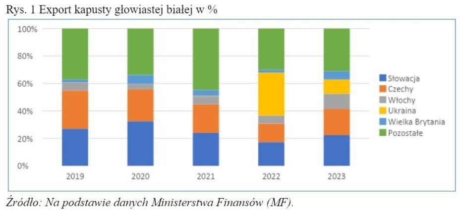 kapusta głowiasta
