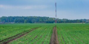 Czynsz dzierżawny krótkoterminowy. Czy umowa wystarczy?