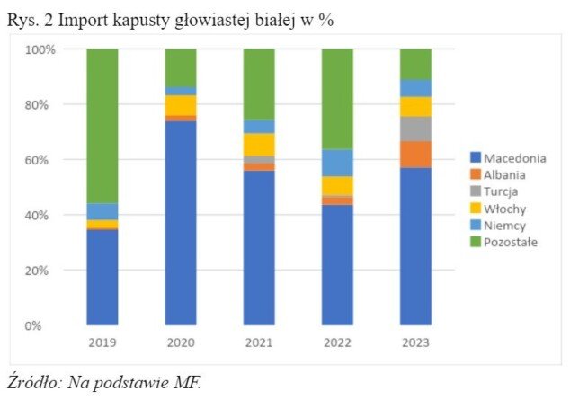 kapusta głowiasta biała