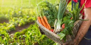 Maciej Dolata o promocji spożycia warzyw. Dlaczego to takie ważne?