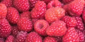 Kryzys malinowy: tąpnięcie na rynku mrożonek