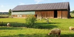 Dofinansowanie fotowoltaiki 2024. Gdzie zdobyć największe?