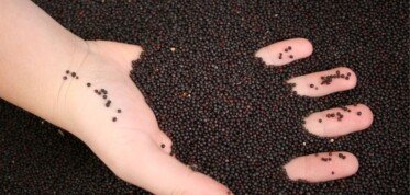 Wilgotnościomierz do nasion - Darmiński