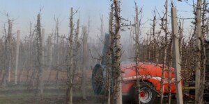 Bezpieczny zakup środków ochrony roślin przez internet