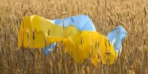 import z Ukrainy - zboże z Ukrainy - import zboża z Ukrainy - ukraińskie zboże