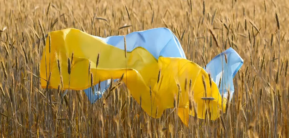 import z Ukrainy - zboże z Ukrainy - import zboża z Ukrainy - ukraińskie zboże