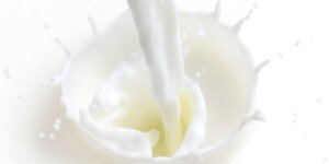 Czy aktualne ceny mleka mają coś wspólnego z opłacalnością?