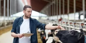 KE reaguje: biurokracja w&nbsp;rolnictwie będzie ograniczona