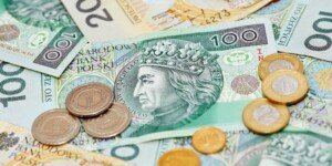 Nowy podatek. Który rolnik musi go płacić i&nbsp;do kiedy?