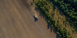 Niższy podatek rolny 2024. Czyli jaki?